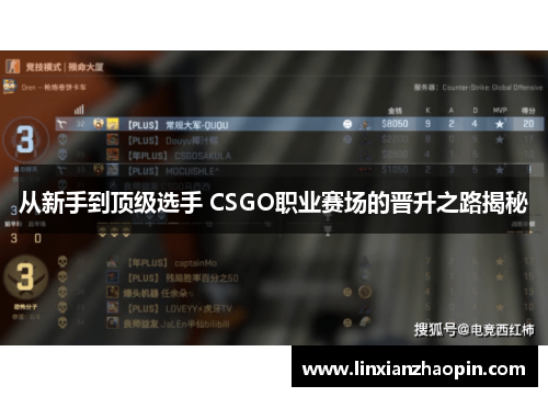 从新手到顶级选手 CSGO职业赛场的晋升之路揭秘