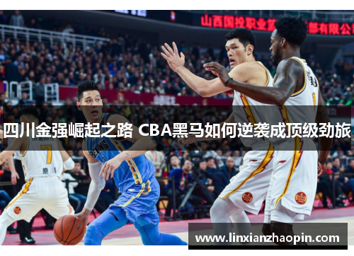 四川金强崛起之路 CBA黑马如何逆袭成顶级劲旅