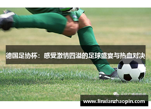德国足协杯：感受激情四溢的足球盛宴与热血对决