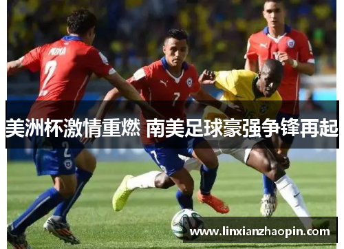 美洲杯激情重燃 南美足球豪强争锋再起
