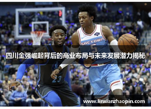 四川金强崛起背后的商业布局与未来发展潜力揭秘
