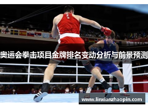奥运会拳击项目金牌排名变动分析与前景预测